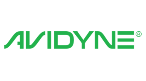 Avidyne