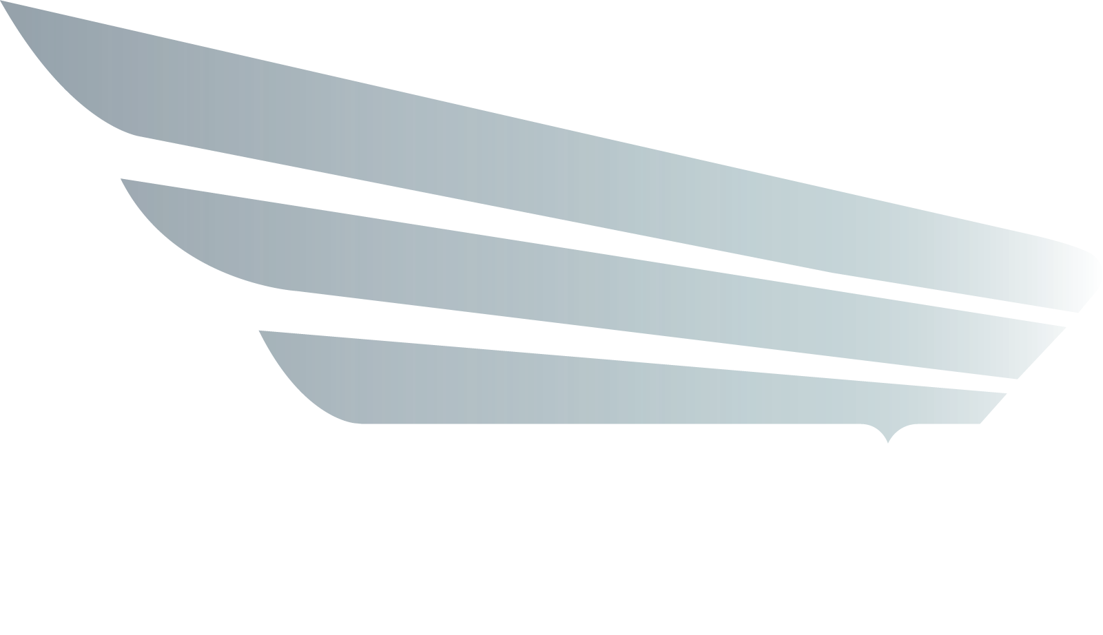 FGI Flightline Group